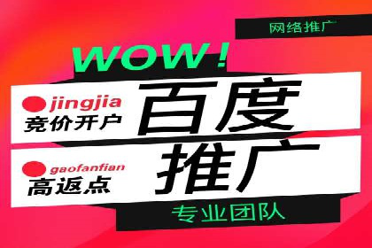 揭秘百度竞价排名：实战案例解析